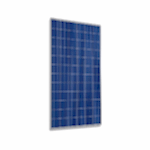 solarix enerji 40W panel, solarix enerji 40Watt polikristal gunes paneli, solarix enerji 40W panel, solarix enerji 5Watt panel, solarix enerji 40Watt polikristal gunes paneli, solarix enerji 40W watt gunes paneli, solarix enerji 40W watt perc polikristal gunes paneli, solarix enerji 40W Watt fotovoltaik polikristal gunes paneli, solarix enerji 40W perc polikristal gunes enerjisi, solarix enerji 40W polikristal enerji gunes paneli, solarix enerji 40watt