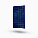 world enerji 280W panel, world enerji 280Watt polikristal gunes paneli, world enerji 280W panel, world enerji 280Watt panel, world enerji 280Watt polikristal gunes paneli, world enerji 280 W watt gunes paneli, world enerji 280W watt perc polikristal gunes paneli, world enerji 280W Watt fotovoltaik polikristal gunes paneli, world enerji 280W perc polikristal gunes enerjisi, world enerji 280W perc polikristal enerji gunes paneli, world enerji 280watt